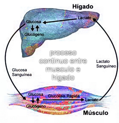 Bioenergia y sistemas energeticos 387_fi10