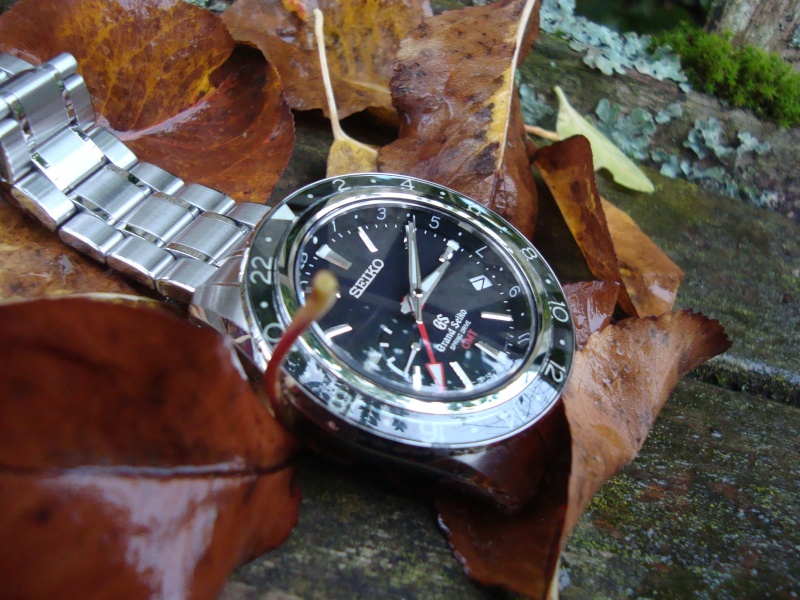 Petite revue d'une grande montre, GS inside Dsc02414