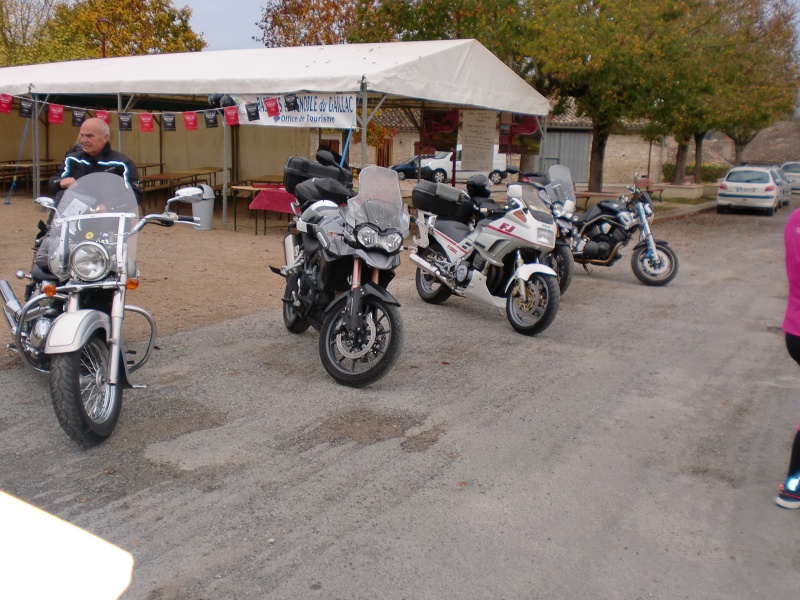 Sortie du 09.11.2014 Cimg0210