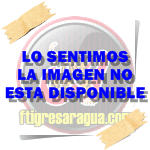 Galeria solo tigres. No_dis10