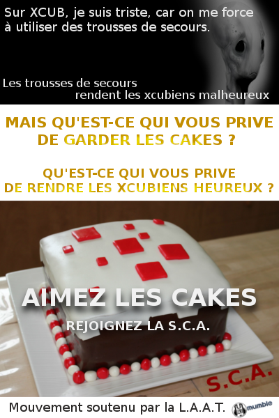 Les Cakes sur XCUB. Sca10