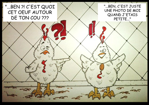 Humour de poule Image410