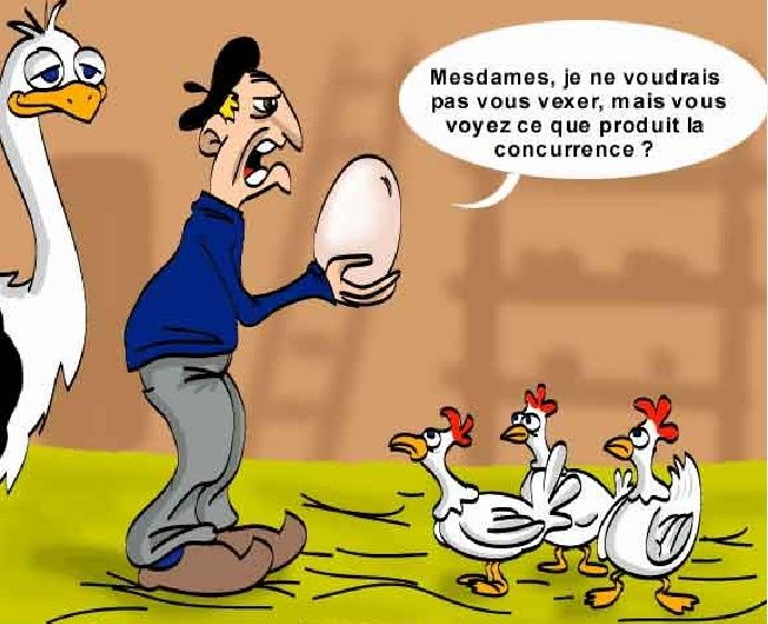 Humour De Poule Humour De Poule