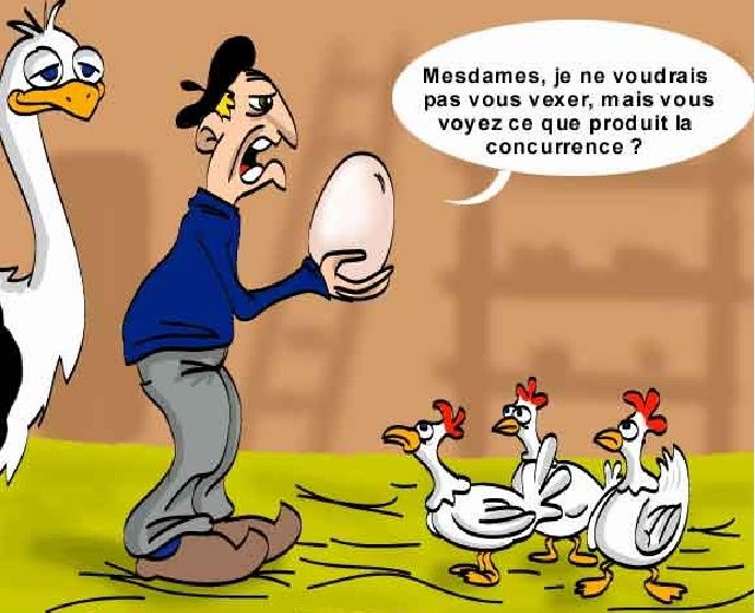 Humour de poule Re10