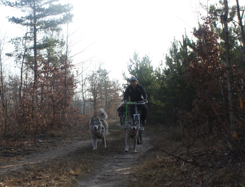 Романовка 08.11.2014 _mg_1541