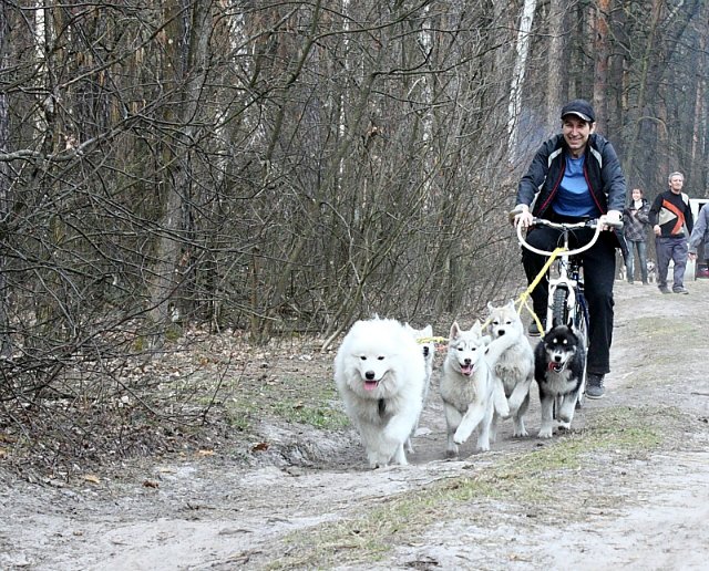 Романовка 15.03.2014 A312cd10