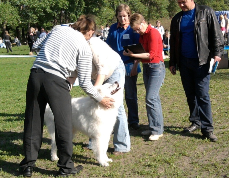 IKU-ККУ 2011 05 14 Черкасы Aia02011