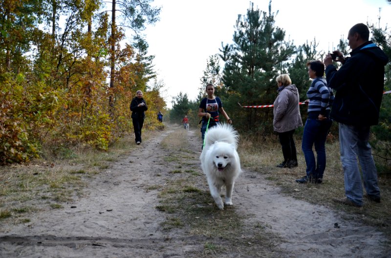 2014 10 05 Осенний кубок ТАУН Форест. По дороге с листопадом 2014. C9a92710