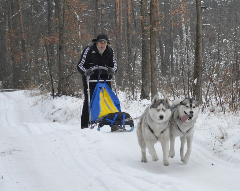 2014 12 07 Романовка Dsc_0333