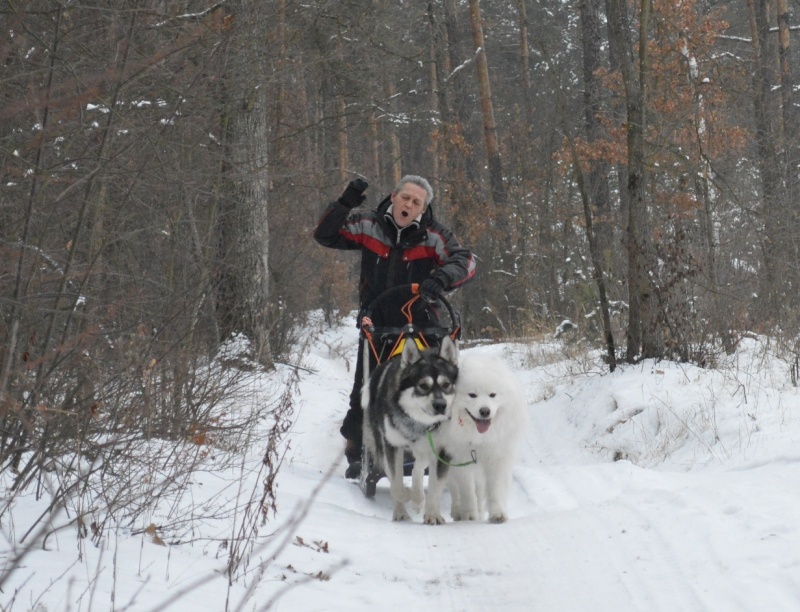 2014 12 07 Романовка Dsc_0335