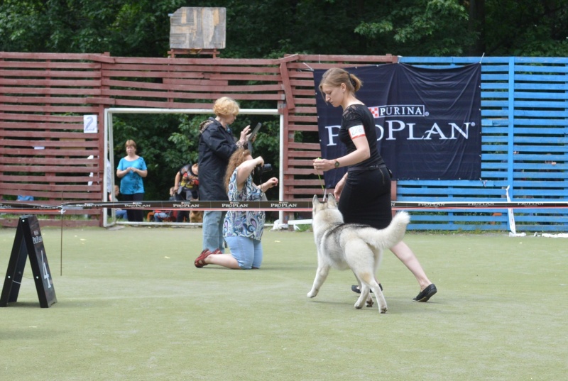 FCI-КСУ 2xCAC 2014 06 14-15  Белая Церковь - УкрБаккара Dsc_0713