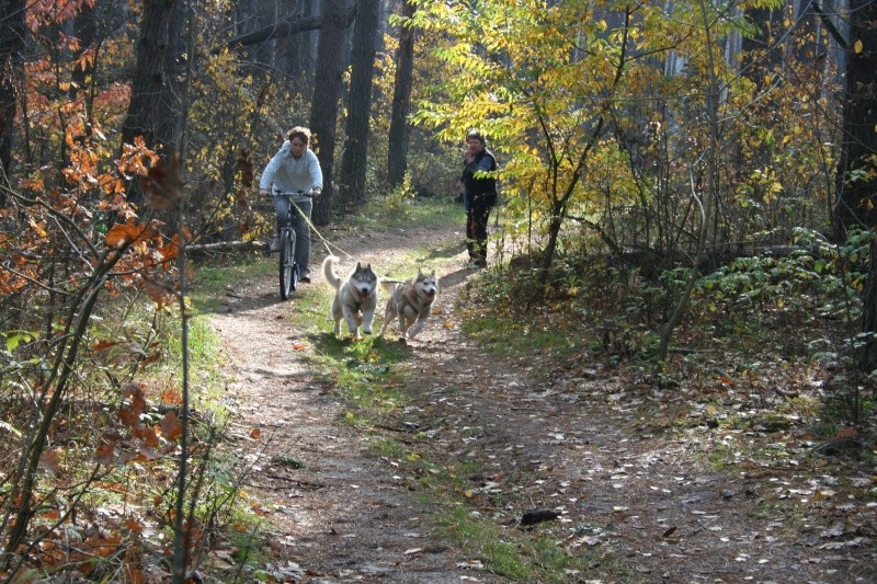 Коцюбинское 2012-2013 гг. Img_0018