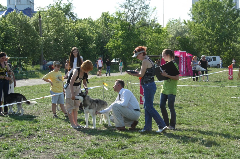 IKU CACIB 2013 05 19 Кишинев Молдова Img_0216