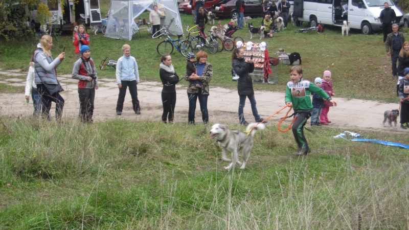 2013 10 14 Драйленд. Осенний кубок ФЕСУ. Img_1327