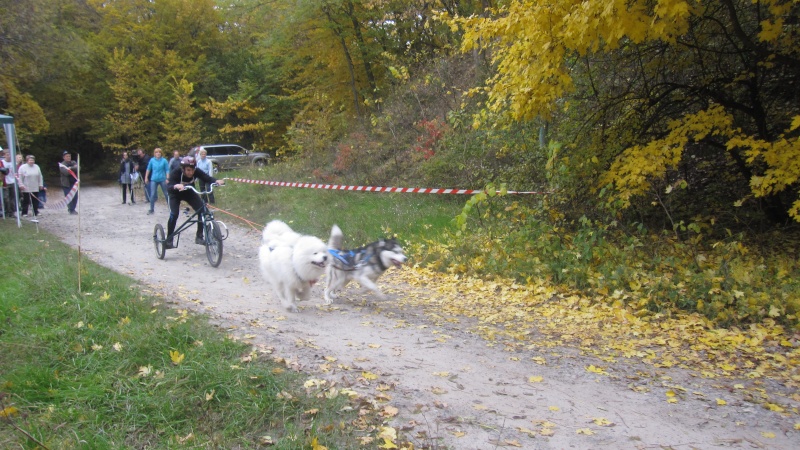 2013 10 14 Драйленд. Осенний кубок ФЕСУ. Img_1330