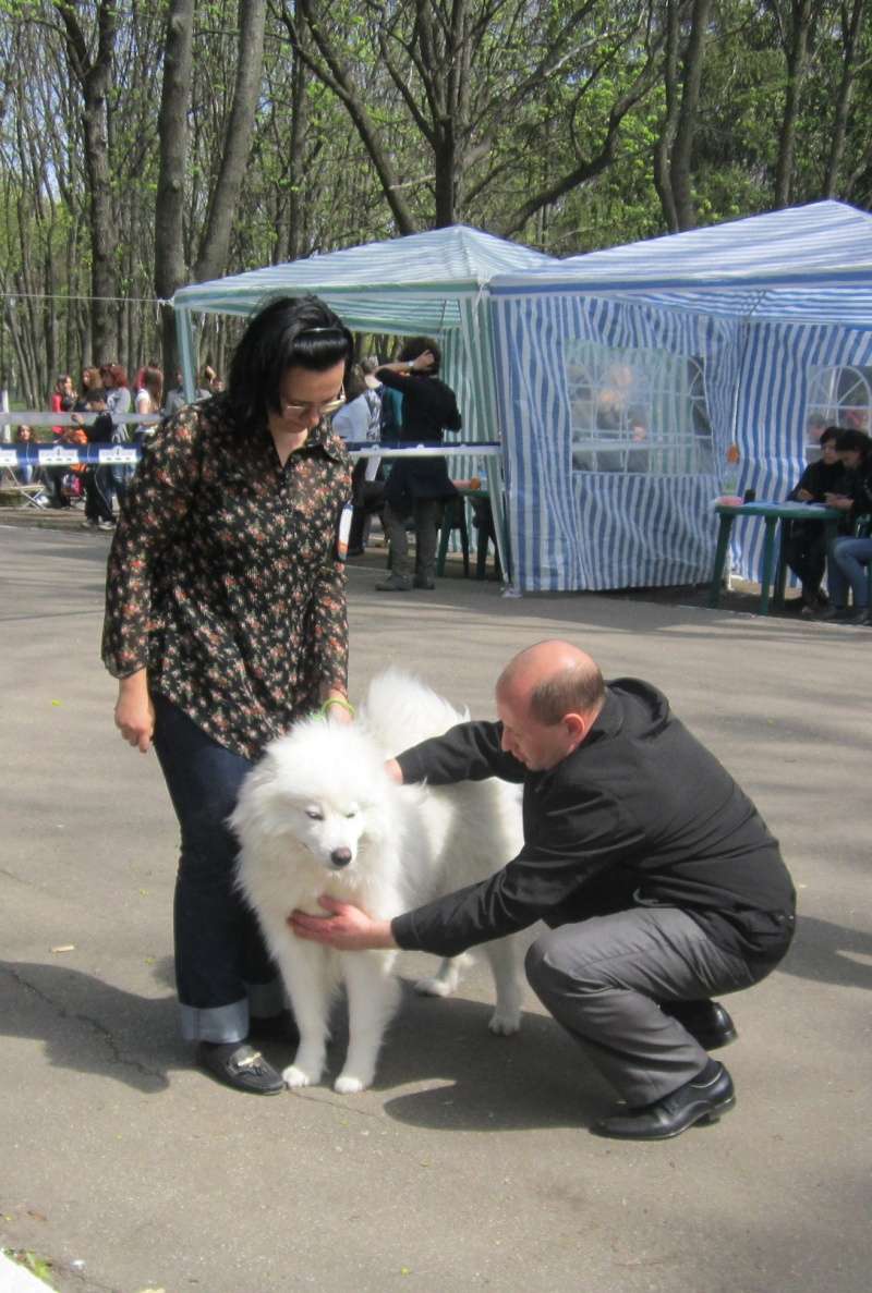 IKU-ККУ САС 2014 04 19 Харьков Img_4812