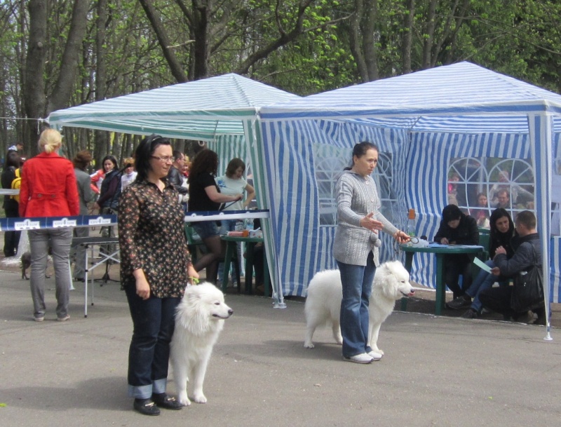 IKU-ККУ САС 2014 04 19 Харьков Img_4813