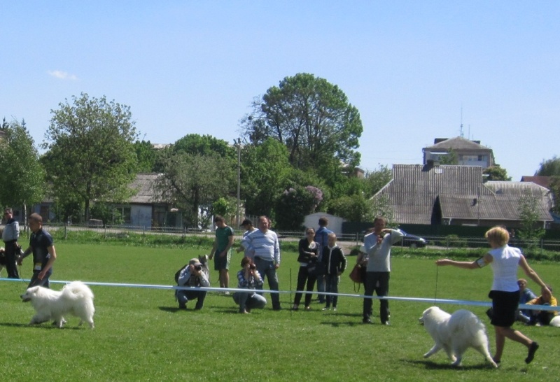 IKU-ККУ САС 2014 05 11 Хмельницкий Img_5010