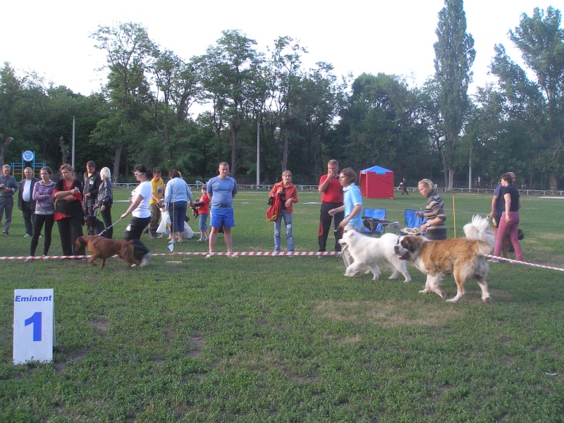 IKU-ККУ CACIB-CAC  2012 05 26_27 Кировоград_Кривой Рог P1012511