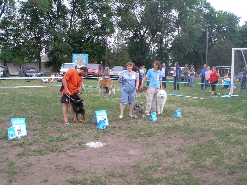 IKU-ККУ CACIB-CAC  2012 05 26_27 Кировоград_Кривой Рог P1012610