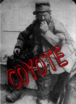 Les Coyotes 10717910