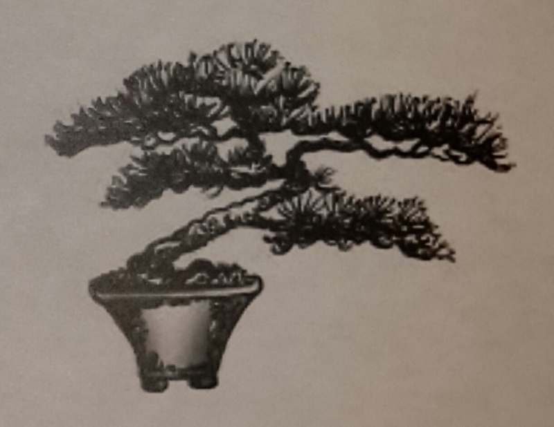 Juniperus Pfitzeriana Aurea Material Suitability 20141112