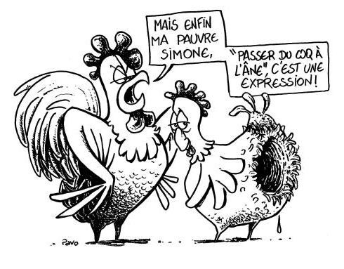 blague - Page 2 Coq10