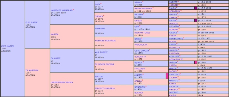 2014 pur sang arabe CWG KAZIM Cwg_ka10