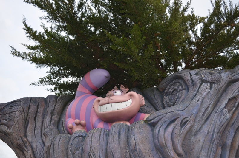 Petit séjour sur Disneyland Paris : Petit retour ! Dsc_0113