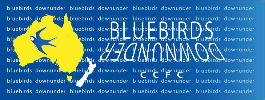 Free forum : BLUEBIRDS DOWNUNDER Bdu_lo12