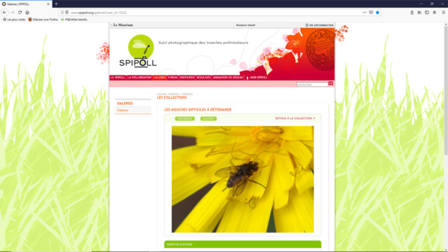 test nouveau site spipoll - Page 2 Ancien10