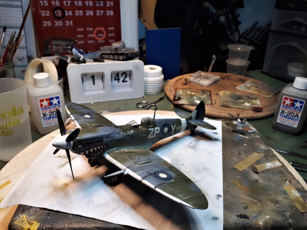 Spitfire MkVIII / Hasegawa 1/48 20180753