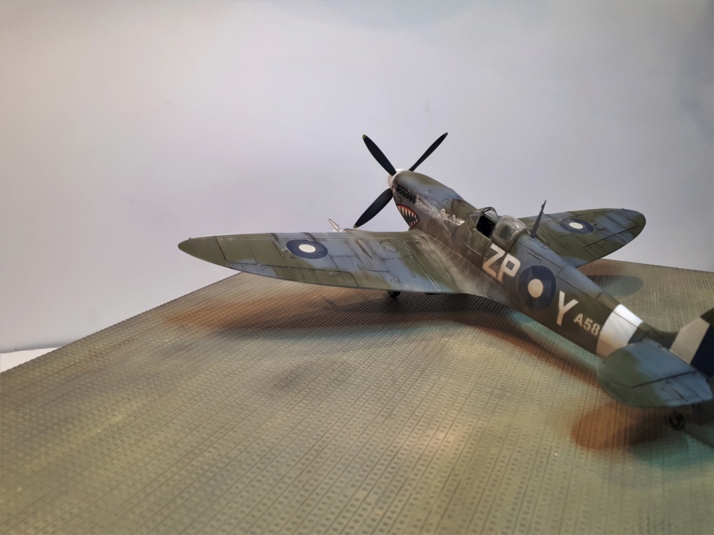 Spitfire Mk VIII / Hasegawa 1/48 20180762