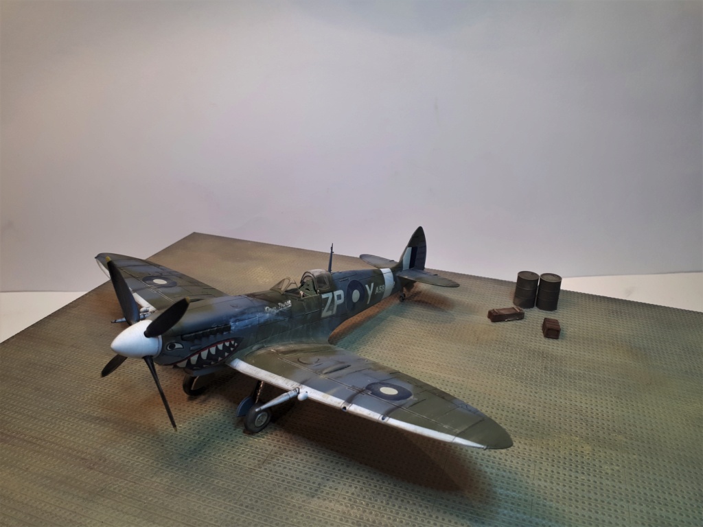 Spitfire Mk VIII / Hasegawa 1/48 20180765