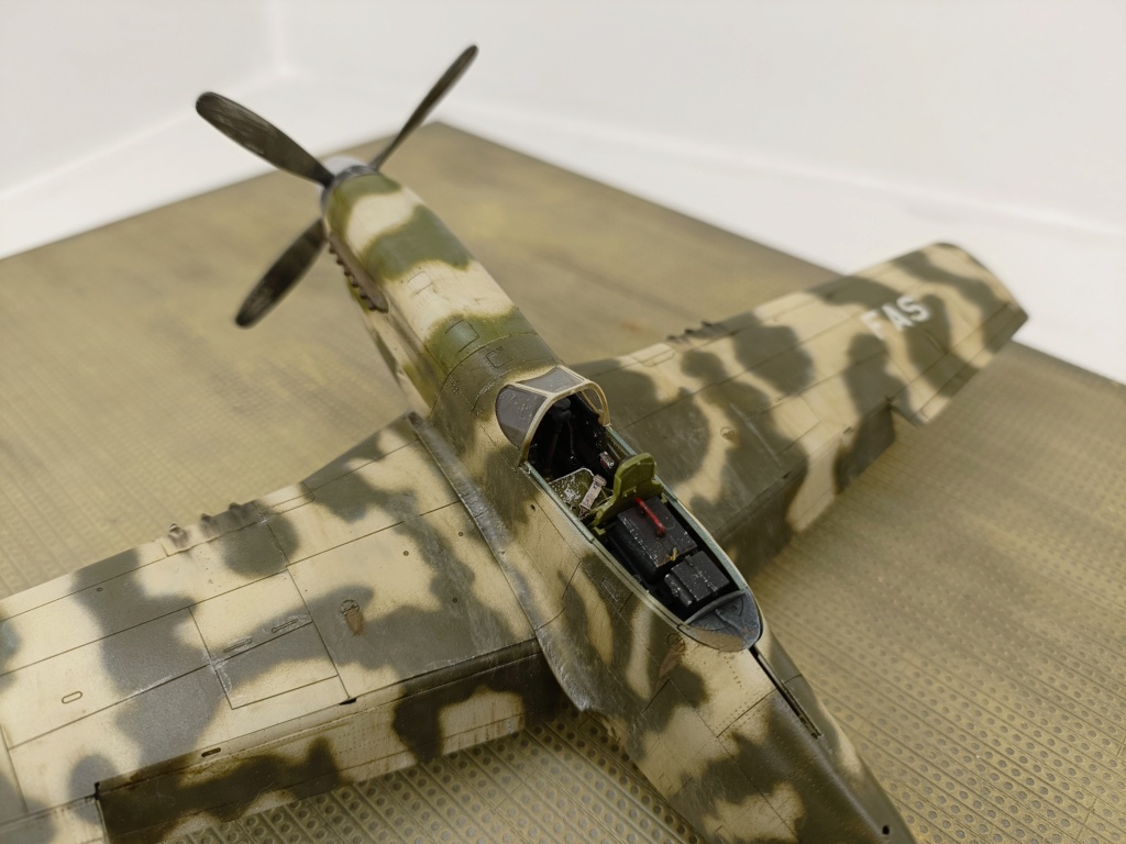 [GB 2023] - F-51D Cavalier - Fuerza Aérea Salvadoreña - Eduard 1/48 Img20272