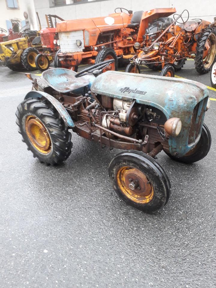 Foire de REALMONT(81) 2019 Marche35