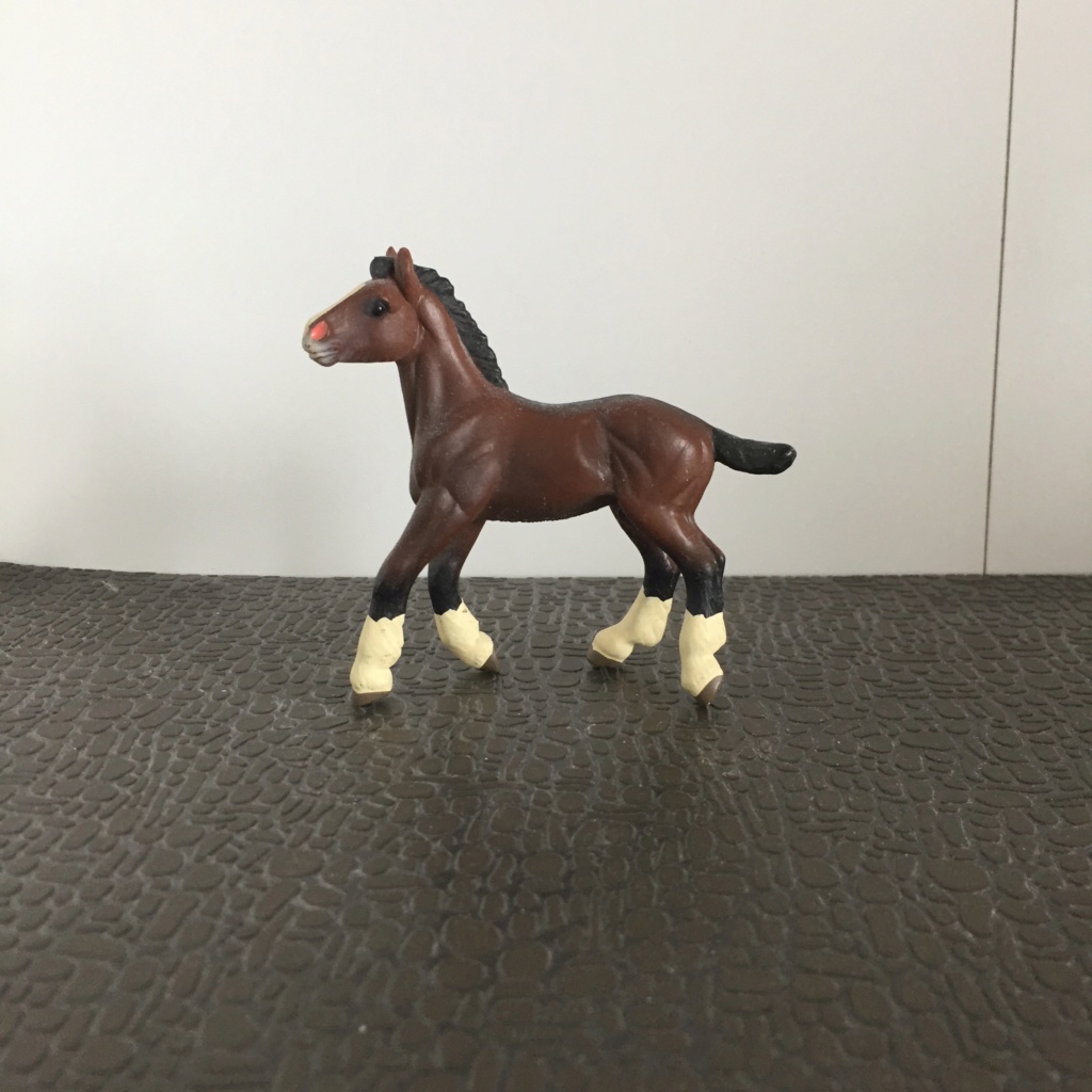 [Schleich&co] L'écurie de Neptune Cly6_c11