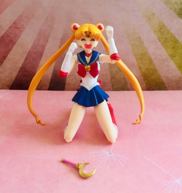 Ma Collection SAILOR MOON <3 - Page 35 Fig_mo13