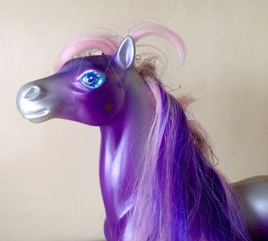 Ma collection de Fashion Star Fillies Image241
