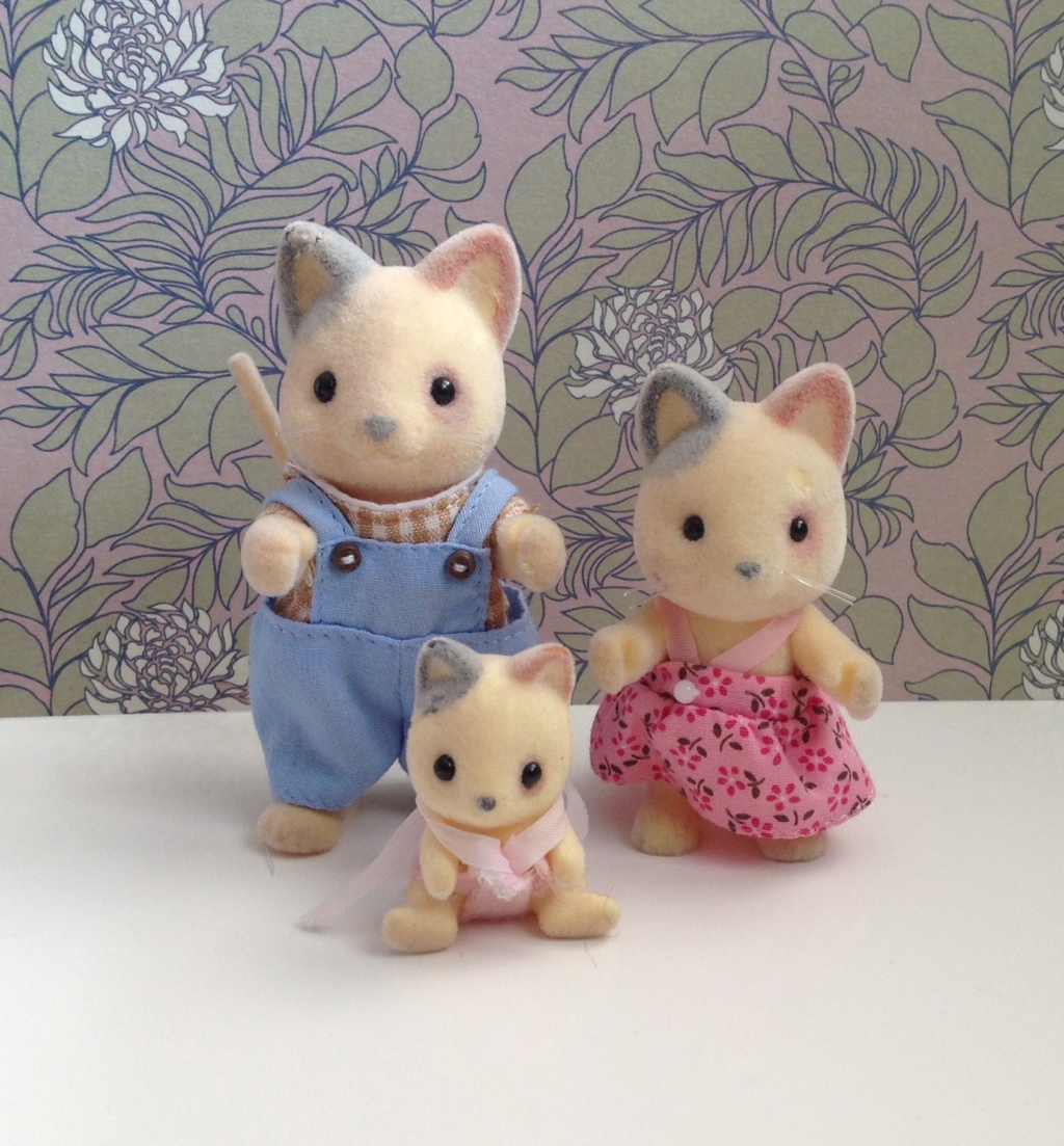 [Sylvanian Families, Petits Malins et Forest Families] Mon petit monde! - Page 4 Img_9946