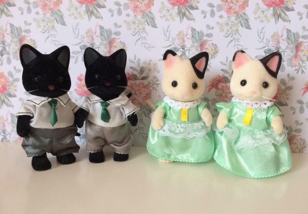 [Sylvanian Families, Petits Malins et Forest Families] Mon petit monde! - Page 19 Img_e556