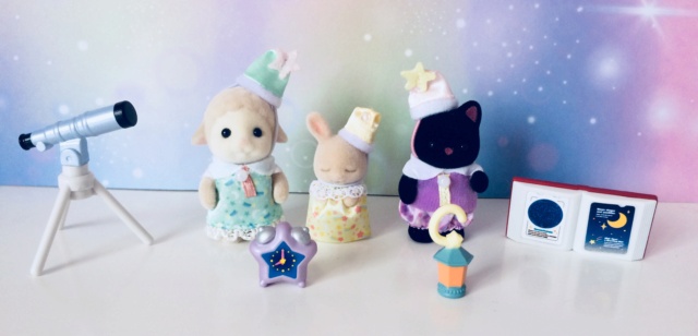 [Sylvanian Families, Petits Malins et Forest Families] Mon petit monde! - Page 20 Img_e716