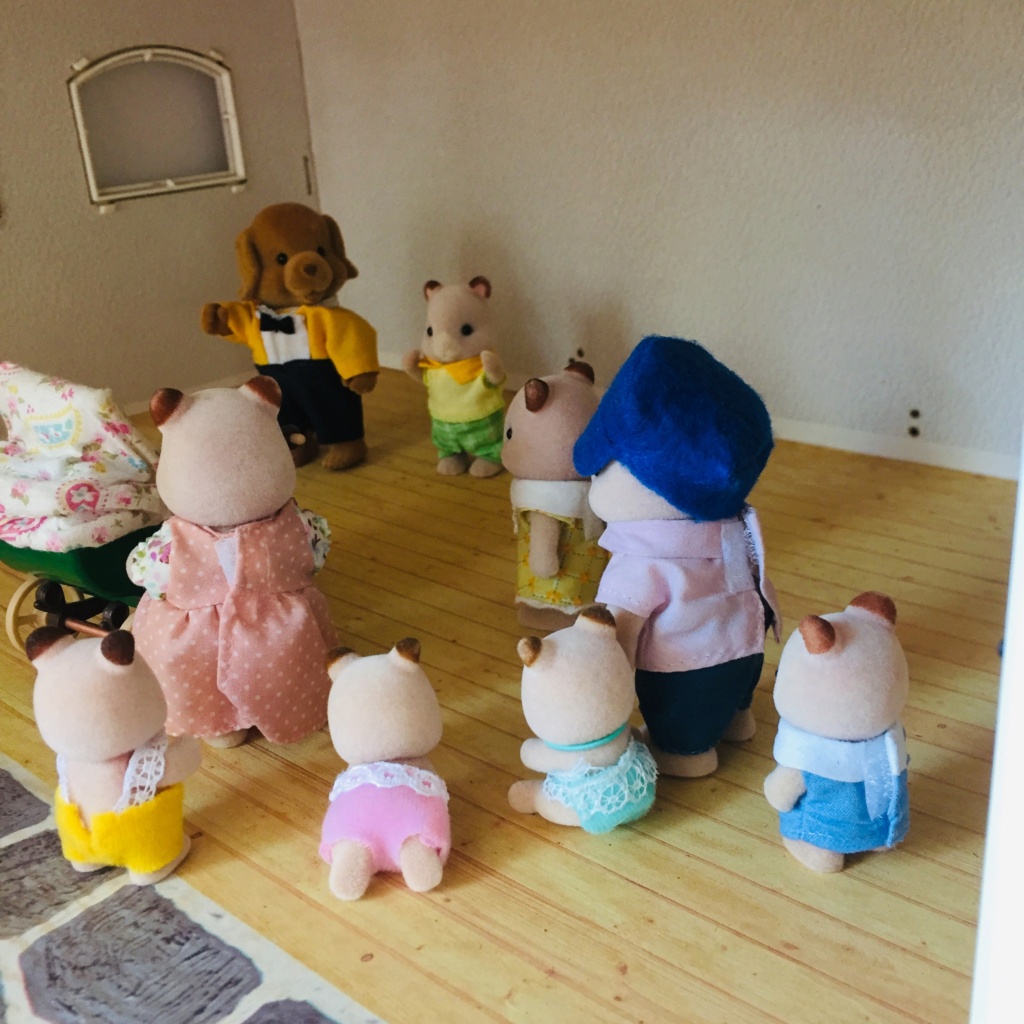 (Photos) Chez mes Sylvanians - Page 8 Vi310