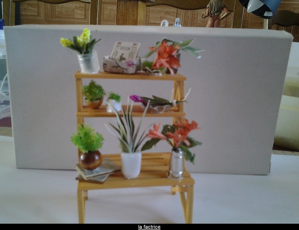 MAISON MINIATURE ou JARDIN D HIVER 20200416