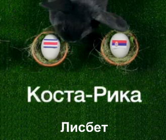 Животные-оракулы на ЧМ-2018 по футболу - Страница 3 E12