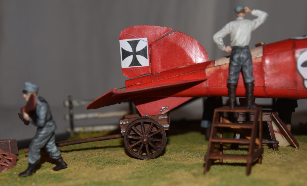 Albatros D III Oeffag, bearbeit. WAK,1:33, geb. von Kubi - Seite 2 Dsc_2019