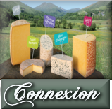 Connexion