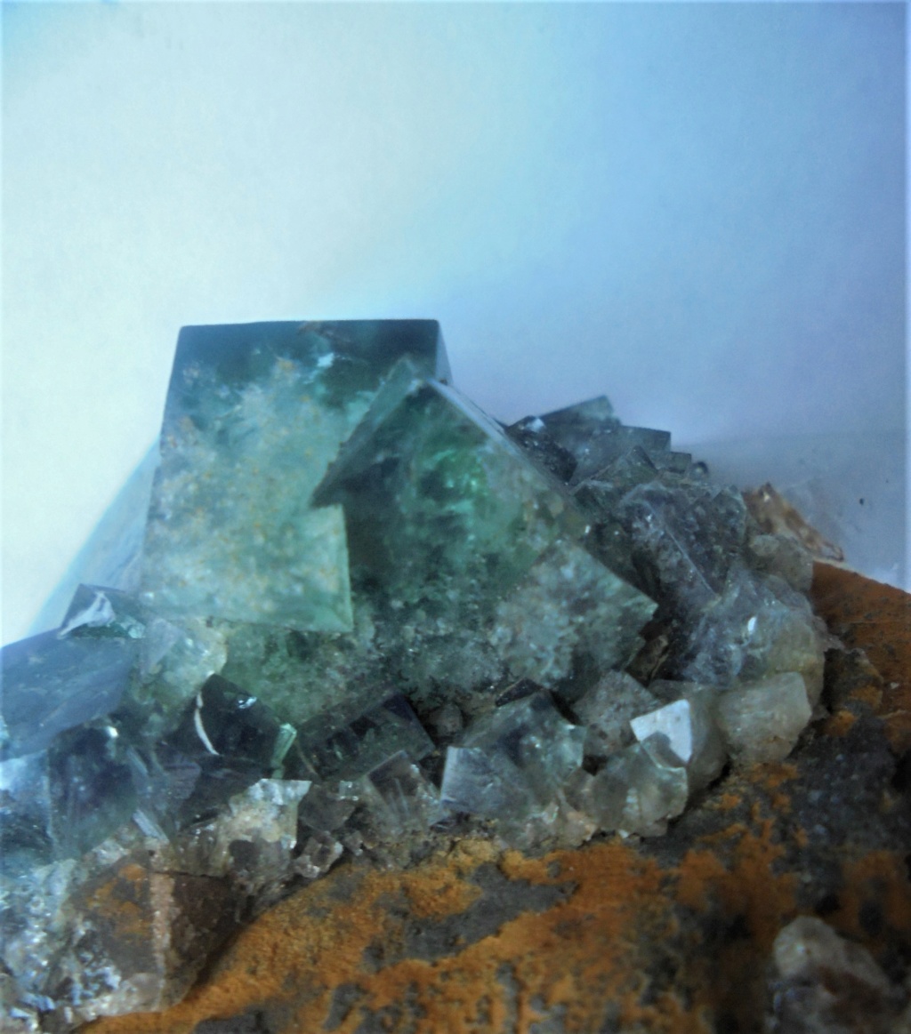 fluorite d' Eastgate  Dsc00722