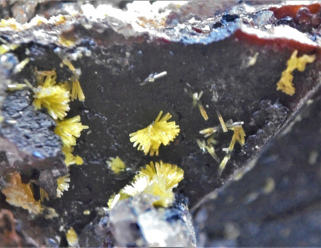 Minéraux de la mine CLARA autres que la Fluorite et la barite Dsc01524