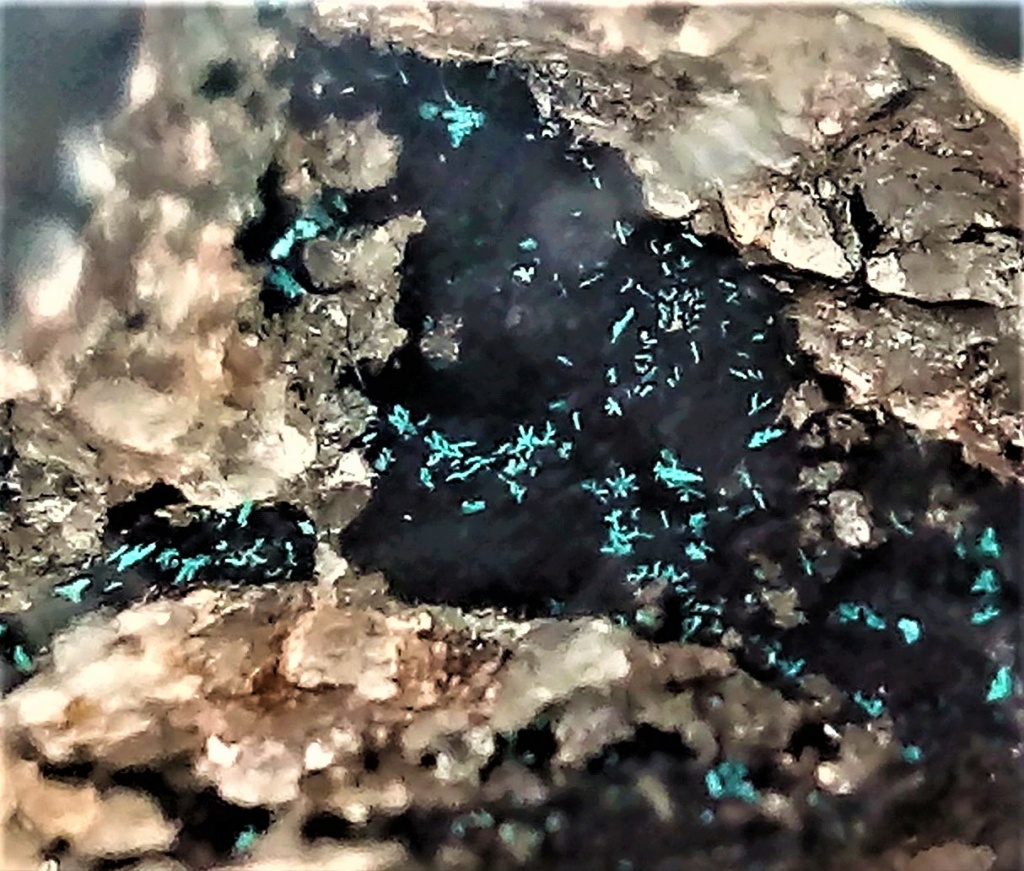 Minéraux de la mine CLARA autres que la Fluorite et la barite - Page 4 Img_1060